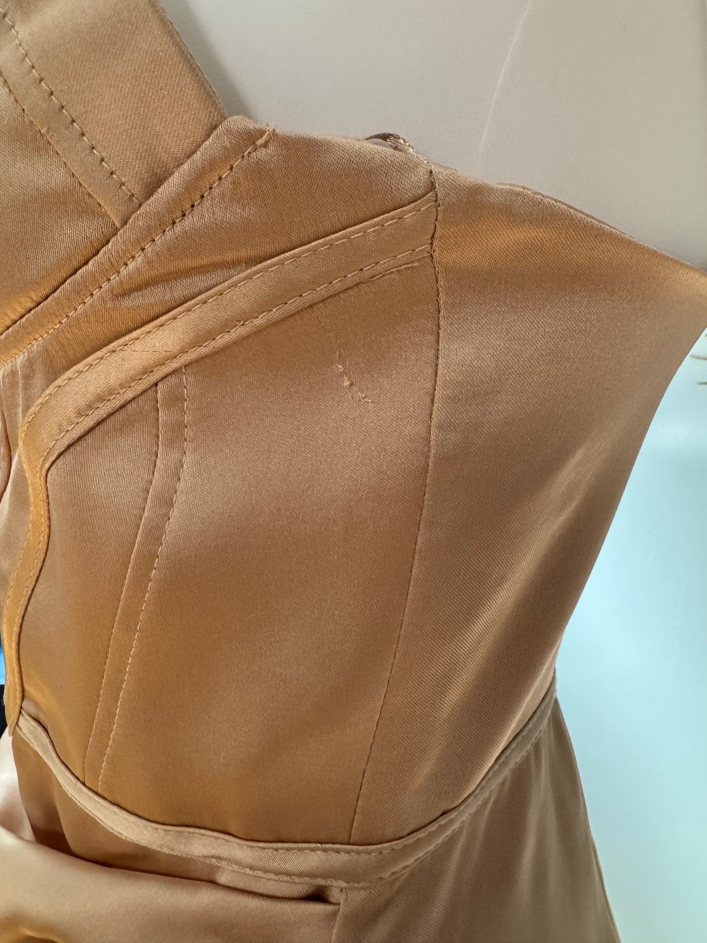 ZARA - Champagne Corset Top Mini Dress