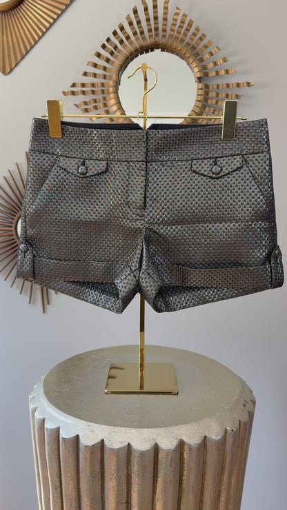 EXPRESS - Silver Metallic Shorts